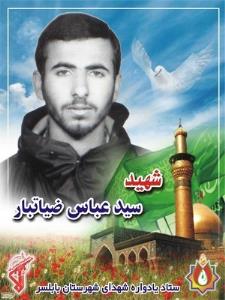 شهدا را یاد کنیم با ذکر صلوات.