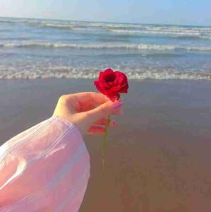 تــو
هر صُبح
با بوسه بیدارم کن
بگذار "عشق" هر روزِ خدا
در این خانه‌ را بزند ...🤍💋