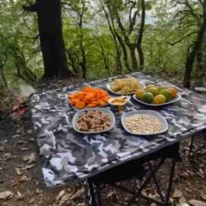 واقعا جاتون خالی 