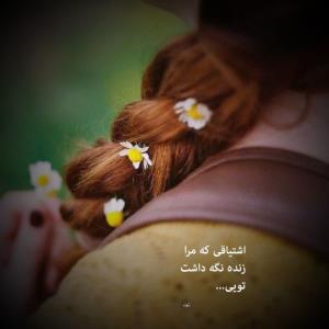 اشتیاقی که مرا .....