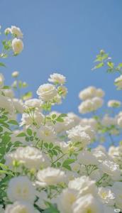 بخاطر داشته باش