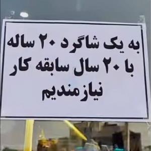بعد میگن کار نیست 🤣🤣🤣🤣
