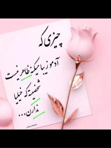 پندی.ازپندهای.سنجاب.حکیم 🤭😊🙋🏿🤷🏿🐿صندوقچه اطلاعات خبری