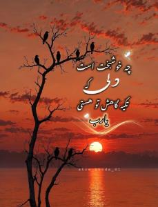 حسبی الله 🌾