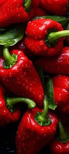 گراندفلفل‌دلمه‌ای