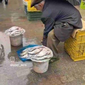 جاتون حسابی خالی 