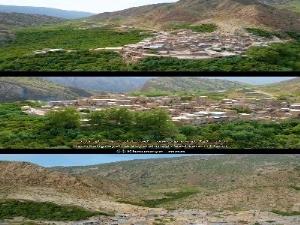 روستا مارین