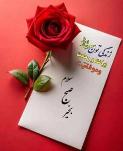 🌹🌹🌹🌹🌹🌹