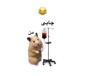 منم 🙁🙁🙁😁☕🫖آرامش بخشه خووو 🤷‍♀️😁