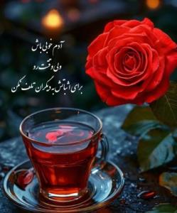 سلام بر کاربرای خوب خبری🌸🌸🌸🌸🌸