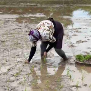 سلام  یادش بخیر 