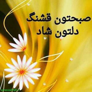 سلام دوستان 🌼