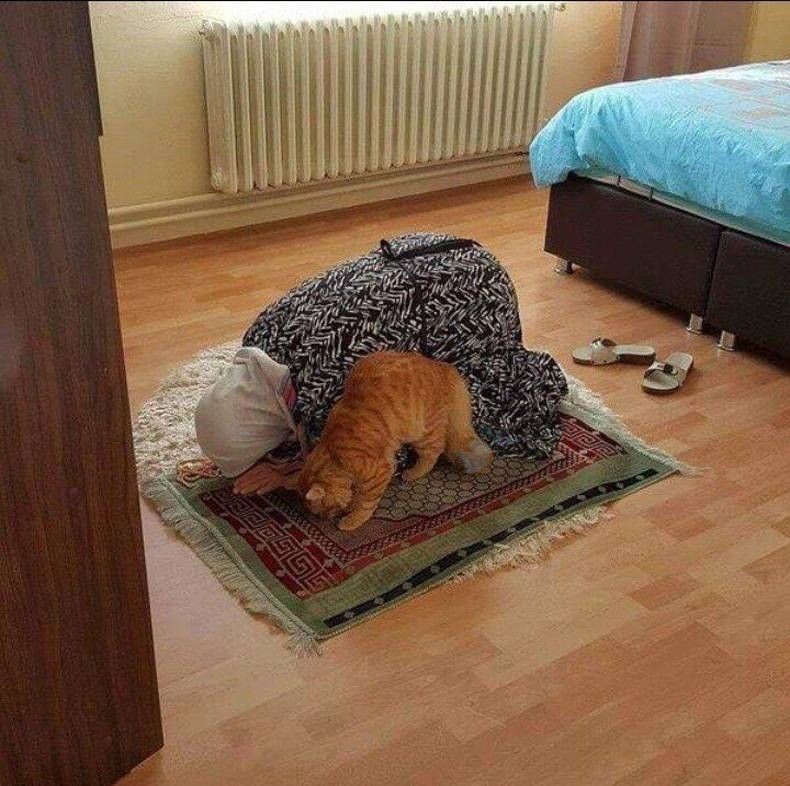 بچه مون نماز خونه🥰