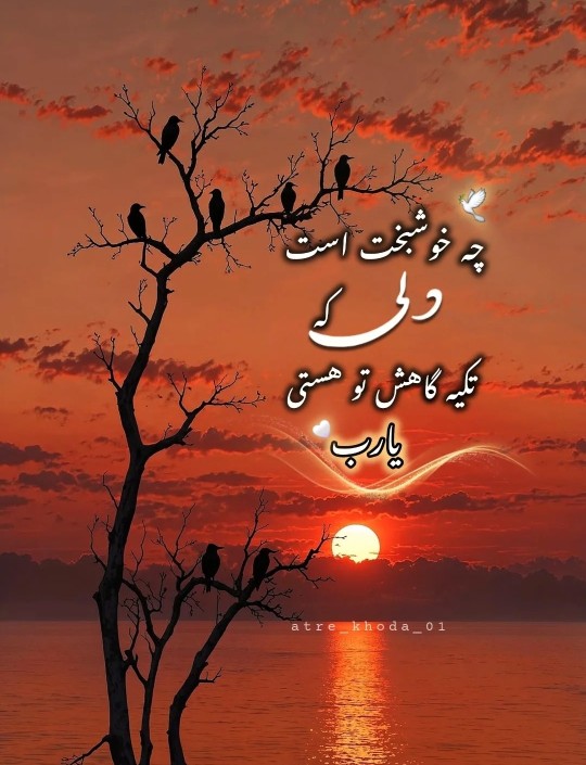 حسبی الله 🌾