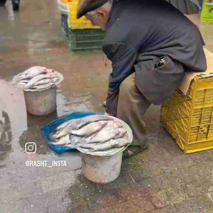 جاتون حسابی خالی 