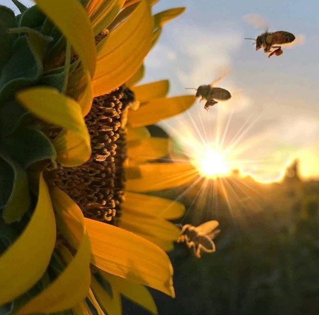 دمی با دوست به سر بردن
دو صد دنـیـا بـها دارد

خوشا آنکس که 