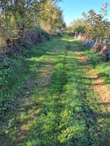 پیاده روی صبح گاهی  با هوای عالی  💐💐