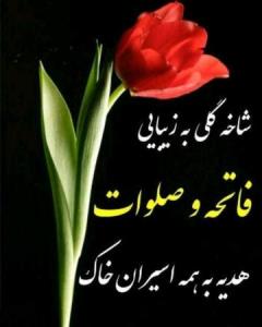 شادی روح همه رفتگان فاتحه و صلوات🌺🌺