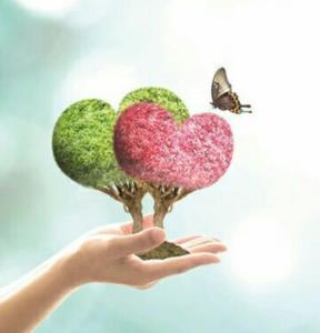 شکرگزار باشیم🙏