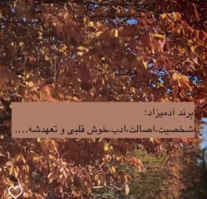 برند آدمیزاد.     که متاسفانه خیلیا ندارن. 🤙🤙🤙