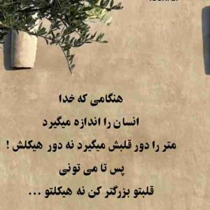 دقیقا  همینطور 💐