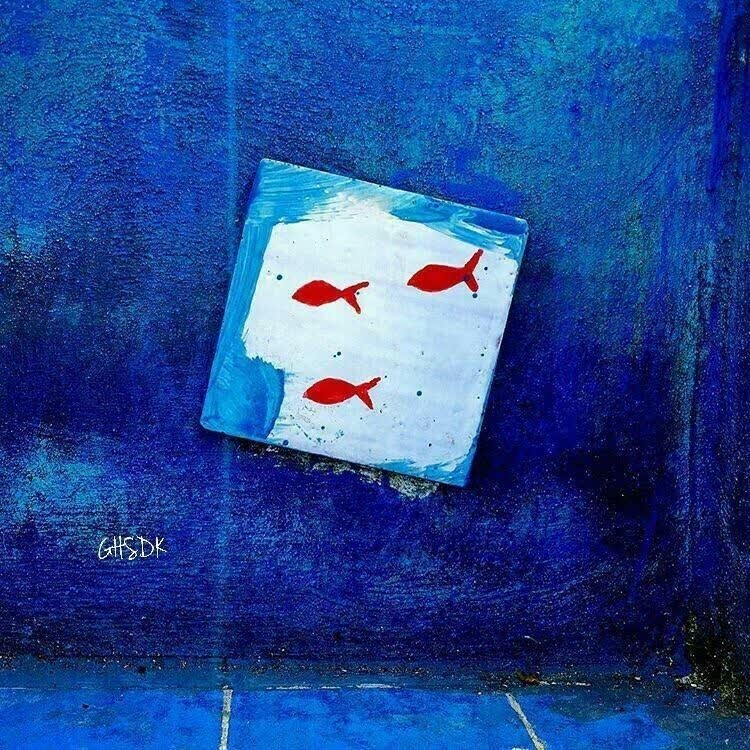 هر کسی یک نابغه است.