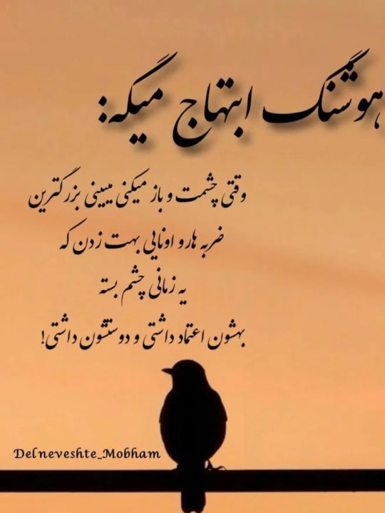 🥀🥀🥀🥀💔🥀🥀🥀🥀