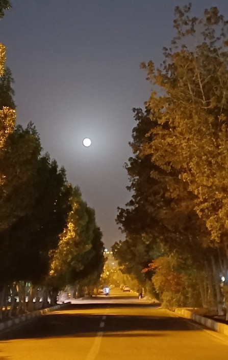 میرن آدما...از اونافقط خاطرهاشون....