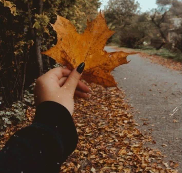 عصرتون دلپذیر 🌹 کپشن لطفاً 👇