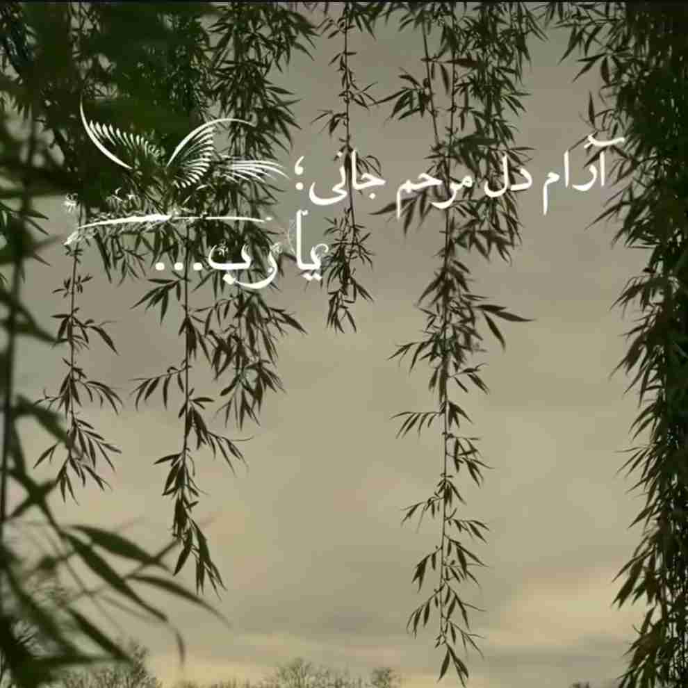 🌸✅🫶🏻❤️