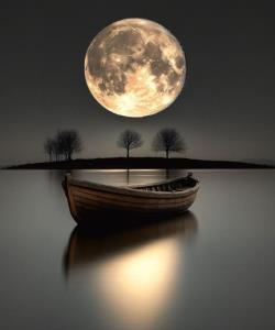 مادامی که پارو نزنی...