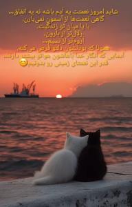 سلام شبتون خوش 🍂🍁