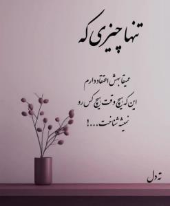 تنها چیزی که عمیقاً بهش اعتقاد دارم این که، هیچ وقت هیچکس رو