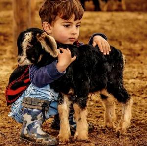 زیبایی ها را چشم میبیند
و مهربانی ها را دل !
چشم فراموش میکن