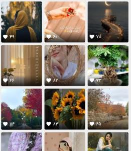 بازم پستم منتخب عکاسخونه شده😇