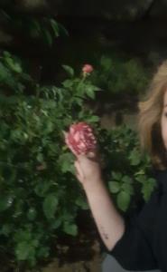 کپشن 🍂🍁بی تو این شهر برایم قفسی دلگیر هست ،