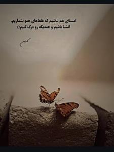 شبتون خوش 👌