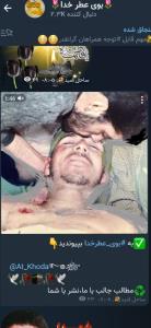 روح همه شهدا شاد اجرتان با امام حسین💚💚🌷