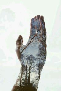 مردن آسان است، زندگی کردن با عزت سخت است.

•