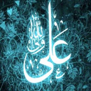 فقط حضرت علی علیه السلام امیرالموءمنین است 