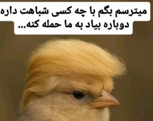 می‌ترسم بگم 😄