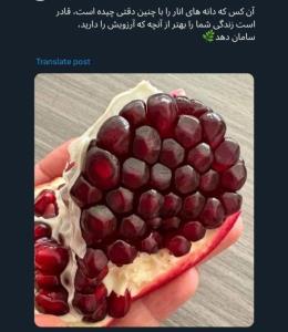 به حکمتش اعتماد کن!!
