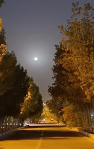 میرن آدما...از اونافقط خاطرهاشون....