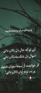 ▫️▫️▫️▫️▫️◽