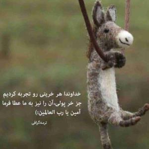 بگو آمین یا رب العالمین😂🤲🏻