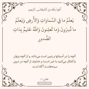 سوره تغابن
آیه 4
صفحه 556