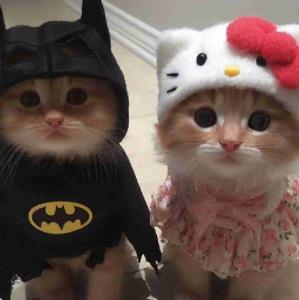 اَ اینا میخامممم🥹