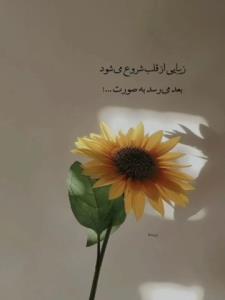 سلام روز بخیر 🌾