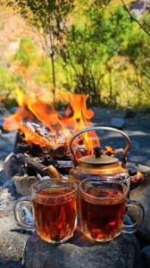 سلام صبح سرد پاییزیتون بخیر ✨️✨️✨️