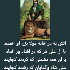 مولا فقط امیر المؤمنین است👑